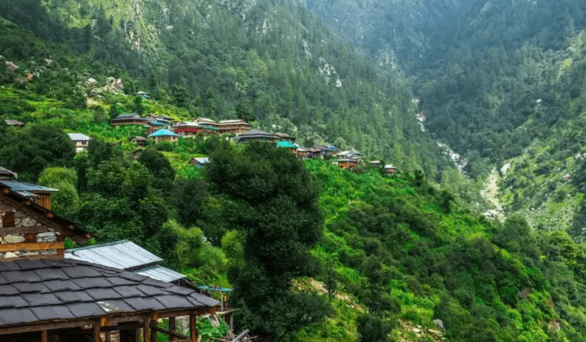 Shoghi