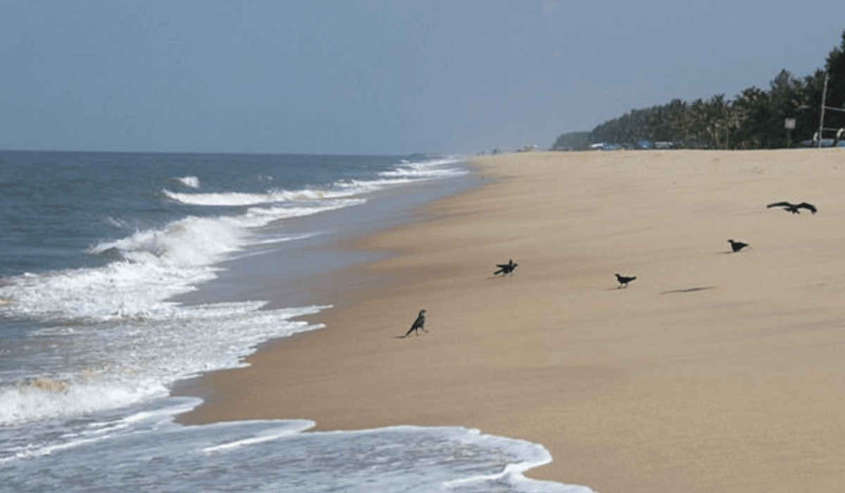 Mararikulam