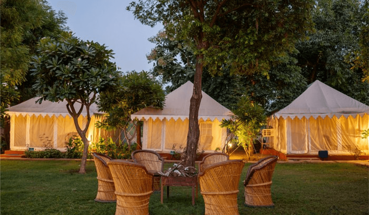 Ranthambore