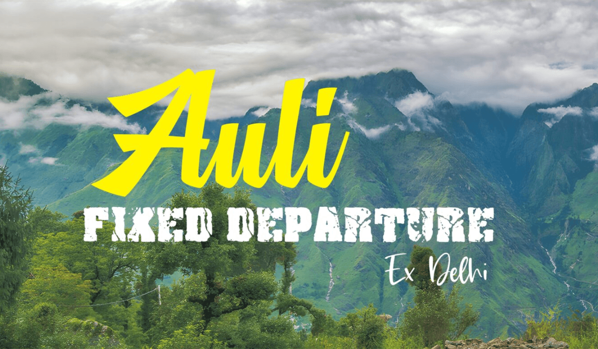 Auli
