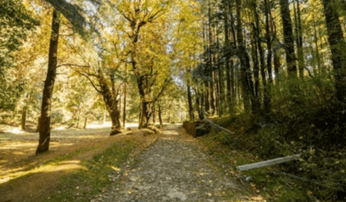 Nainital