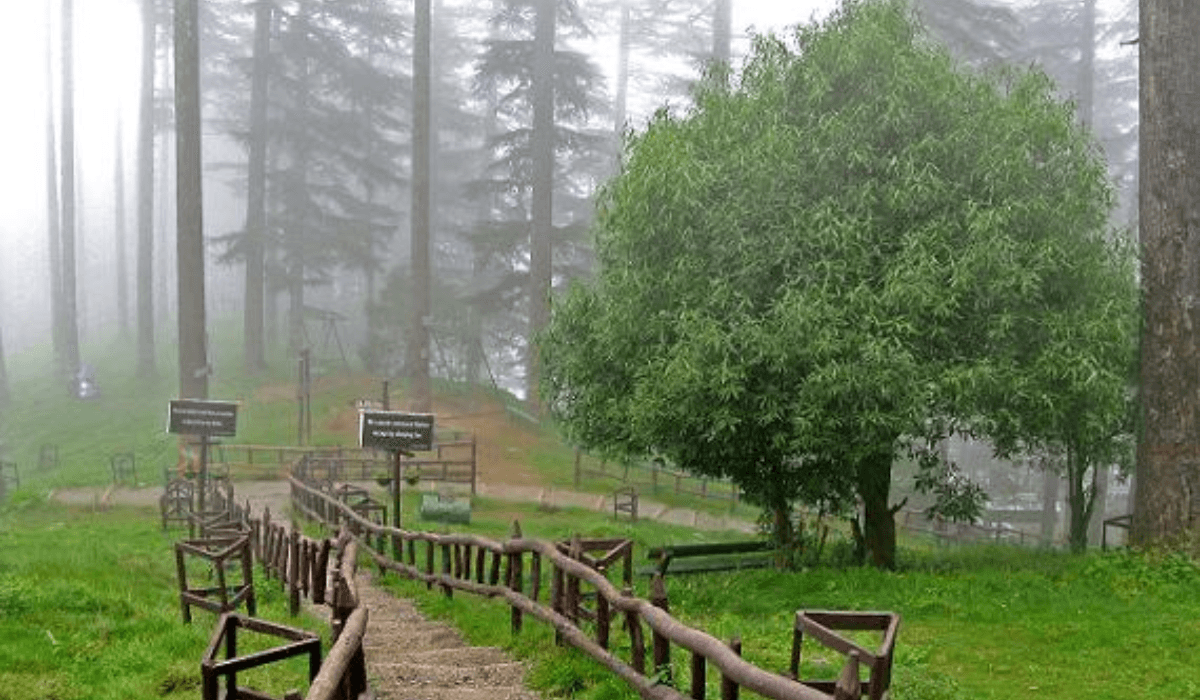 Ranikhet