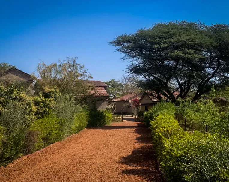 Hotel entrance of Clarks Safari Pushkar with exterior façade and resort signage